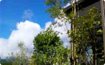 自然風庭園事例